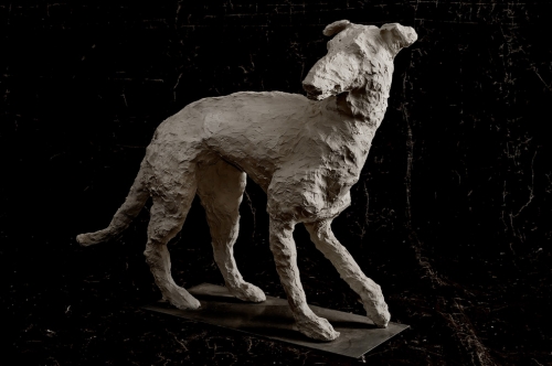 sculptures chiens