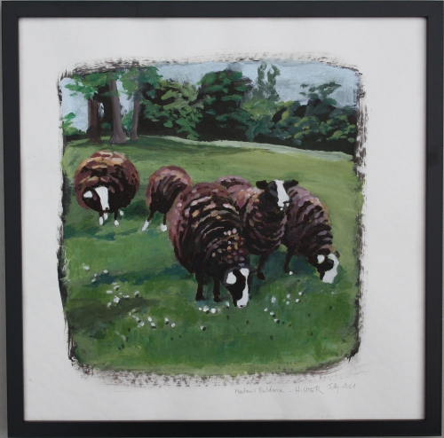 moutons baldwin, acrylic