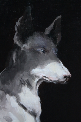 chiens n°8